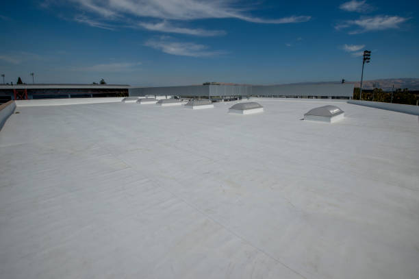 Best Asphalt Shingles Roofing  in Western Lake, TX