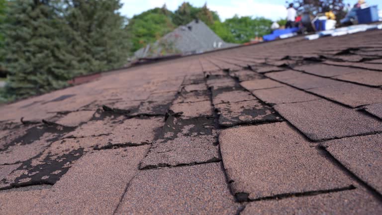 Best Commercial Roofing Services  in Western Lake, TX