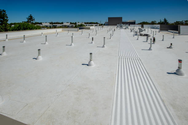 Best Sheet Metal Roofing  in Western Lake, TX